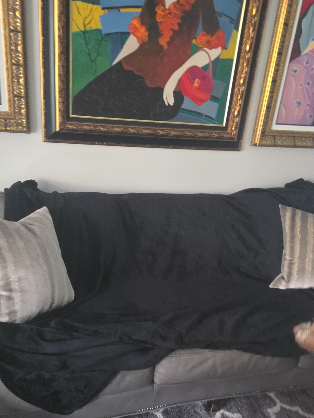 kate spade Black Velvet Sofa Throw Blanket